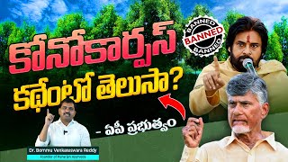 Conocarpus  ప్రభుత్వాలనే భయపెడుతున్న మొక్క  Pawan Kalyan  Conocarpus Trees  Telangana [upl. by Erlewine]