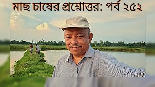 মাছকে খাদ্য প্রয়োগ পরিমাণ একক চাষের সবুজ পানির ব্যবহার। Fish feed Green water।Abeed Lateef [upl. by Remled]