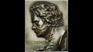 Beethoven Symphony 7 mov 2 Allegretto [upl. by Sucam]