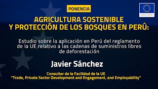 Ponencia Estudio sobre la aplicación en Perú del reglamento de la UE [upl. by Odyssey]