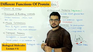 Functions of Protein [upl. by Haniraz836]