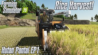 Farming Simulator 25  Hutan Pantai Rice Harvest EP1 [upl. by Olyhs889]