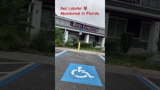 Abandoned Red Lobster 🦞 in Florida Happy 😄 Monday [upl. by Celeste]