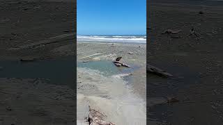 Beach Tasman Sea Sunshine Life is good in New Zealand today [upl. by Ahcila197]