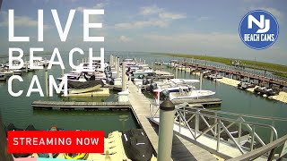 Live Beach Cam Brigantine New Jersey [upl. by Daisie]