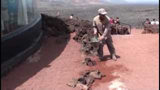 Chorro de vapor en Timanfaya Lanzarote [upl. by Ailem453]