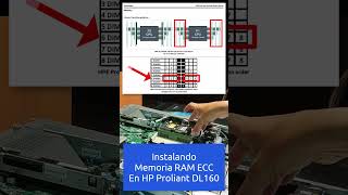 Instalando memoria en servidor HP server HP RAM rack servidor homelab [upl. by Cartwright]