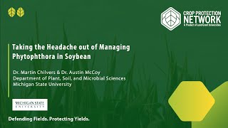 Taking the Headache out of Managing Phytophthora in Soybean [upl. by Ymer900]