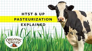 UP and HTST Pasteurization Explained  Ask Organic Valley [upl. by Kind908]