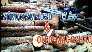 Бензопила OleoMac GSH 40 amp Zomax ZM 4020 Отзыв покупателя [upl. by Jobyna]