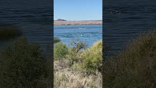 Boat Cruising on Lake Havasu AZ [upl. by Hultgren]