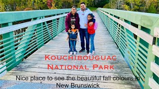 Kouchibouguac National Park  New Brunswick  Tamil [upl. by Rother253]