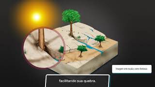 Intemperismo e Erosão [upl. by Findlay]