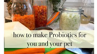 How to make Probiotics for you and your pet [upl. by Sherwin]