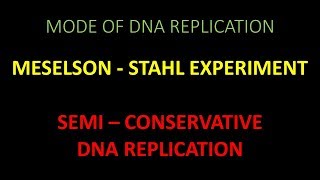 Semi Conservative DNA Replication and experimental proof given by Meselson and Stahl [upl. by Moriarty840]