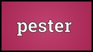 Pester Meaning [upl. by Fair]