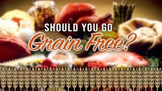 Is A Grain Free Diet Healthy For Pets [upl. by Koenraad94]