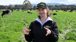 Quality lime an essential tool to address acidity in Gippsland [upl. by Elrem753]