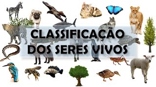 NÍVEIS DE ORGANIZAÇÃO DOS SERES VIVOS  Biologia com Samuel Cunha [upl. by Alabaster]