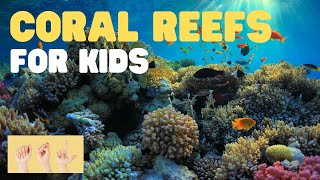 ASL Coral Reefs for Kids [upl. by Emlin]