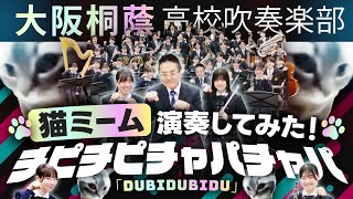 Dubidubidu（チピチピチャパチャパ）（猫ミーム）【大阪桐蔭吹奏楽部】 [upl. by Nilyram]