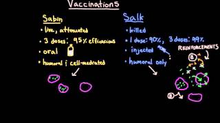 Polio Vaccinations [upl. by Ezri]