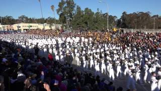 Allen High School Eagle Escadrille  2016 Pasadena Rose Parade [upl. by Jodie810]