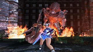 Vindictus Belle Gameplay  Zecallion Party No Hit [upl. by Locin]