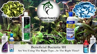 Beneficial Bacteria 101 Are You Using The Right Type At The Right Time [upl. by Vilberg]