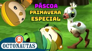 Octonautas  Bebês de Primavera 🐣  Compilação de Páscoa  Compilação  Episódios inteiros [upl. by Anitnatsnok]