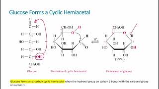 Alcohol addition Hemiacetals and Acetals [upl. by Glyn325]