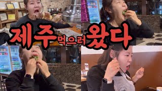 제주도 애견동반 여행 ep02 제주 서쪽 여행 먹방브이로그 jeju island food vlogwhat i eat in jeju [upl. by Sosthena]