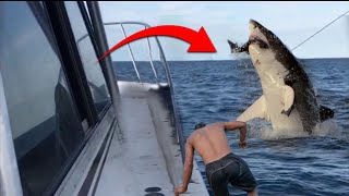 Insane Ocean Encounters Scariest Moments Ever Recorded at Sea [upl. by Yelnahs387]