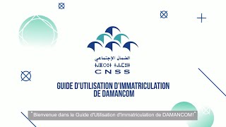 Nouveau DAMANCOM  Guide d’Utilisation d’Immatriculation [upl. by Bechler]