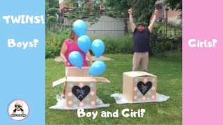 10 Twin Gender Reveal 2018  Twins Pregnancy Announcement [upl. by Nitnelav]