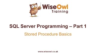 SQL Server Programming Part 1  Stored Procedure Basics [upl. by Sigfrid]