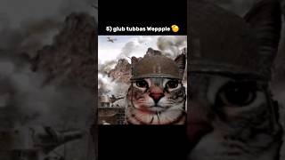 Top 10 goobie woobys  cats  cats memes funny comedy [upl. by Rebmeced]