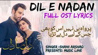 DileNadan  Full 0ST I Shani Arshad  Ft MikaalZulfiqar Amar Khan  Har Pal Geo [upl. by Rehpotsyrhc]