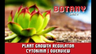 Plant Growth Regulator Cytokinin  Overview  Section 8 [upl. by Chev]