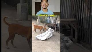 Dog Reaction🦮 publicreaction pkbishalroy trending 🤣 [upl. by Reid568]