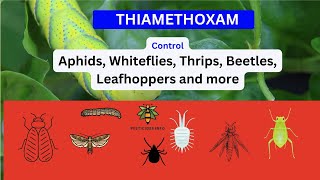 Exploring Thiamethoxam Uses Mode of Action and Environmental Considerations [upl. by Llertrac]