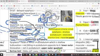 PEDIATRIC ORTHOPEDICS DDH  CLUBFOOT  BRACHIAL PALSY  ORTHOPEDICS  5TH Y [upl. by Fevre]