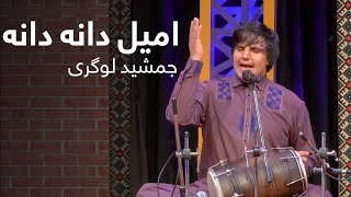 Jamshid Logari  Amil Dana Dana Kama Mast Performance  اجرای مست جمشید لوگری  امیل دانه دانه کمه [upl. by Aneek]