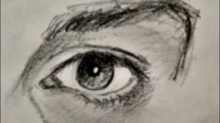 MASTER Drawing the Eye in 2 MINUTES [upl. by Tullus]