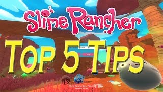 Top 5 Slime Rancher Tips [upl. by Girardi]