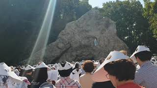 천주교 감곡 매괴성지 100차 성체현양대회 성모동굴 제막후 미사장면 하늘에서 내려오는 빛을 보십시요 [upl. by Allister175]