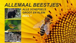 Allemaal beestjes  deel 1 Alle schepsels groot en klein [upl. by Garson322]