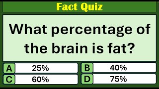 Test Your Knowledge 🧠  Fun Facts amp General Knowledge Quiz Challenge [upl. by Nebe139]