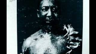 Muddy Waters  I Am The Blues [upl. by Lancelot]