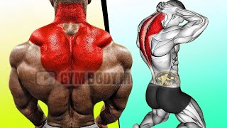 6 Best Traps Exercises For Growth [upl. by Eniawd]